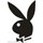 Playboy share logo