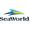 Buy SeaWorld stock